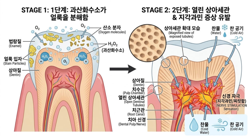 논현역교정치과